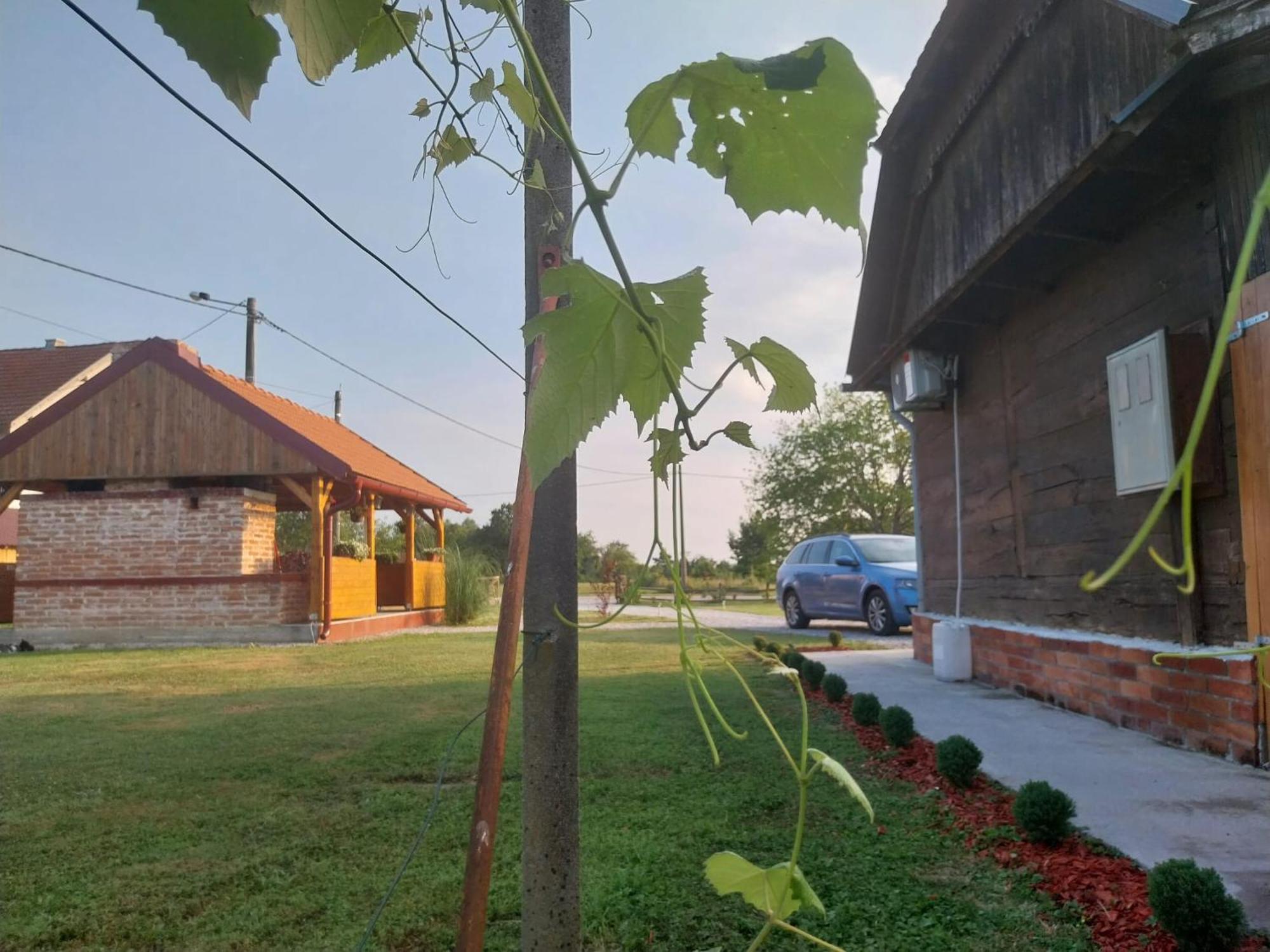 Villa Kuca Za Odmor Jopi I Mare à Topusko Extérieur photo