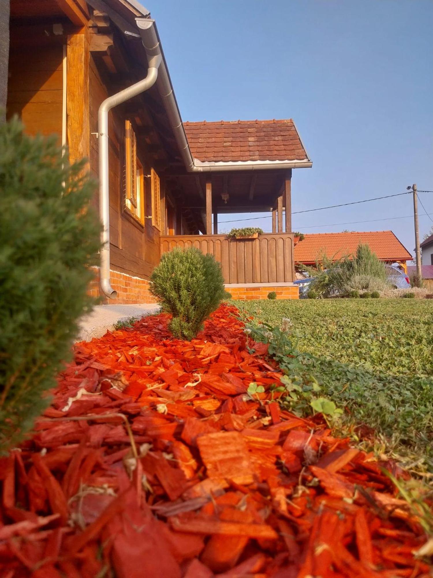 Villa Kuca Za Odmor Jopi I Mare à Topusko Extérieur photo