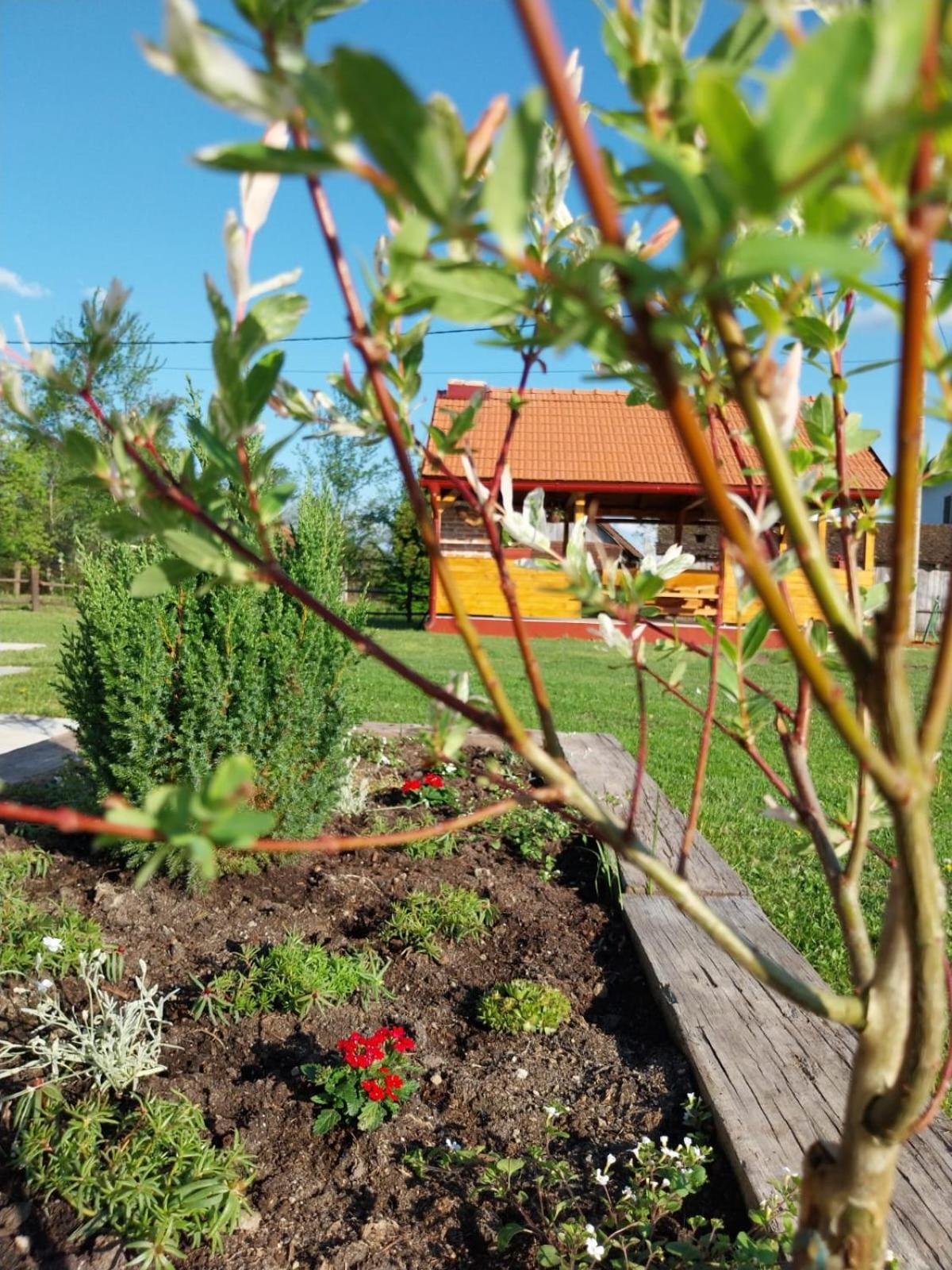 Villa Kuca Za Odmor Jopi I Mare à Topusko Extérieur photo