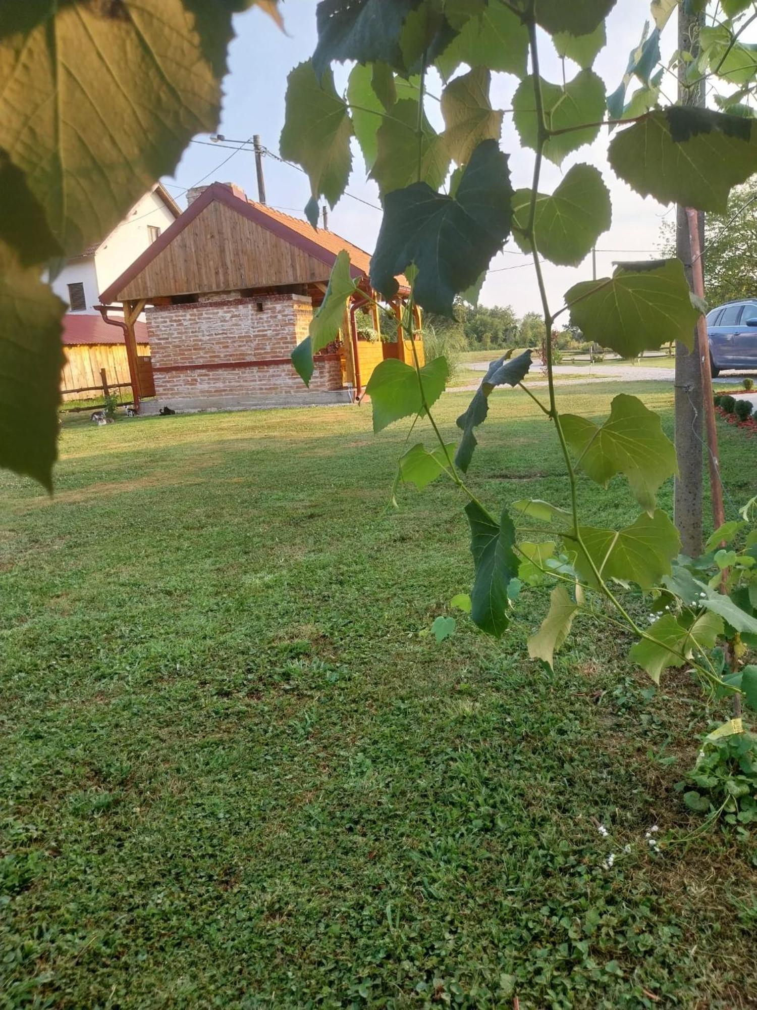 Villa Kuca Za Odmor Jopi I Mare à Topusko Extérieur photo