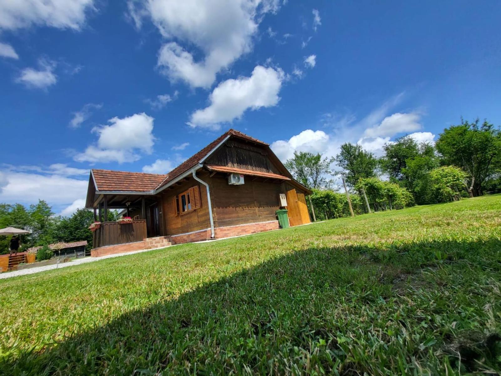 Villa Kuca Za Odmor Jopi I Mare à Topusko Extérieur photo